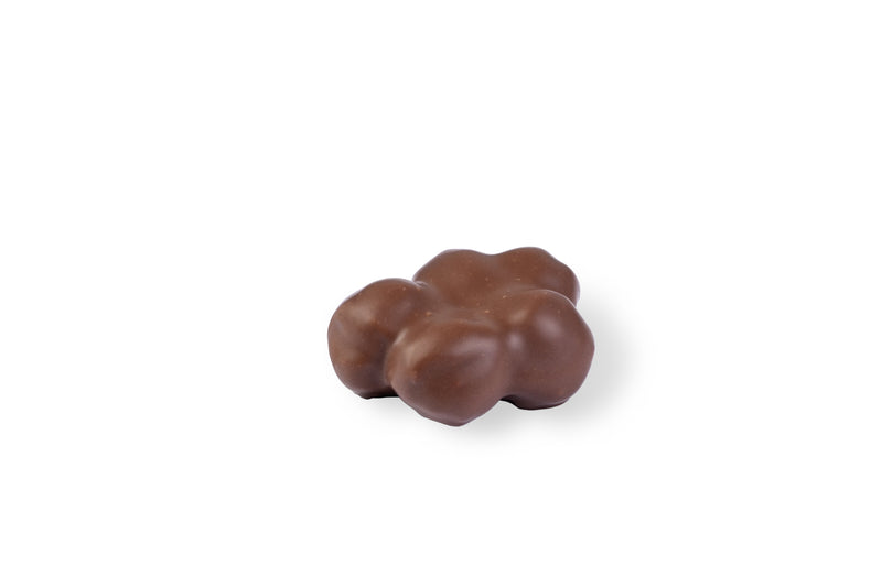 Milk Hazelnut Rocher - Sugar Free