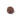 Noisette Truffle